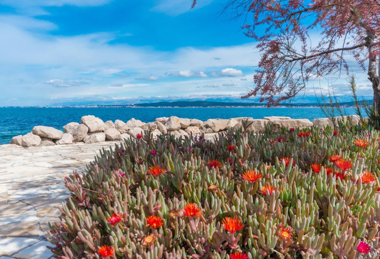 Villa Banjka Dış mekan fotoğraf